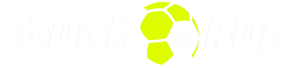 A Touch of Fun logo